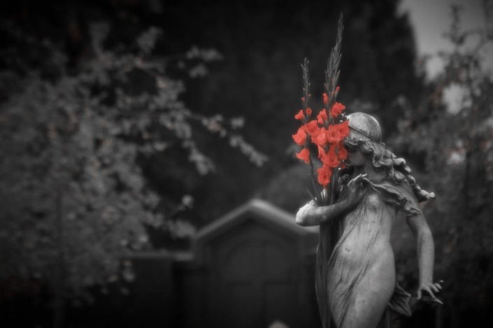 Sortie photo dans un cimetière lors de la Toussaint.