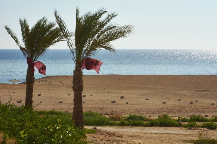 Vacances Egypte Mer Rouge 2014_99