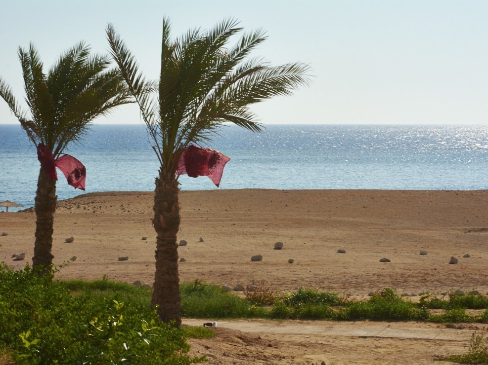 Vacances Egypte Mer Rouge 2014_99