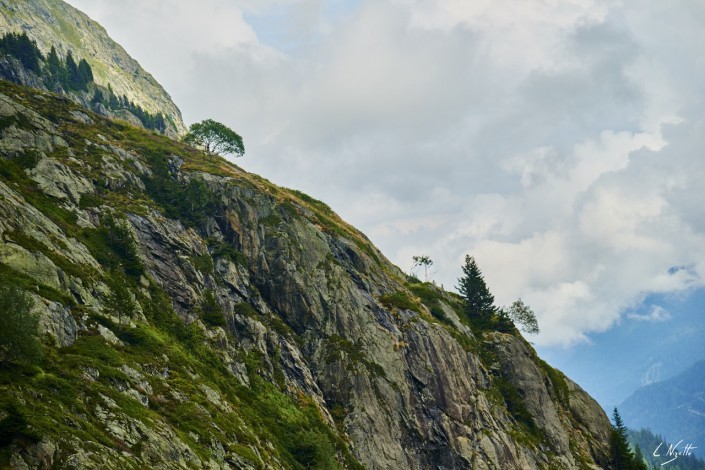 Aiguilles rouges Chamonix Massif du mont blanc-NIKON D800E-48-4-