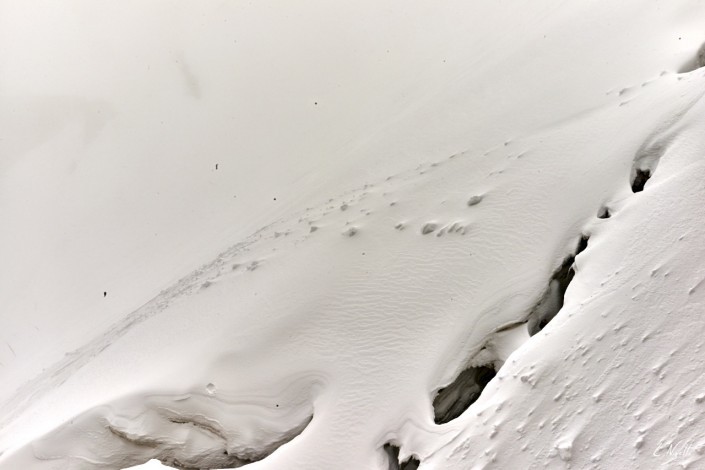 Aiguilles rouges Chamonix Massif du mont blanc-NIKON D800E-49-22-