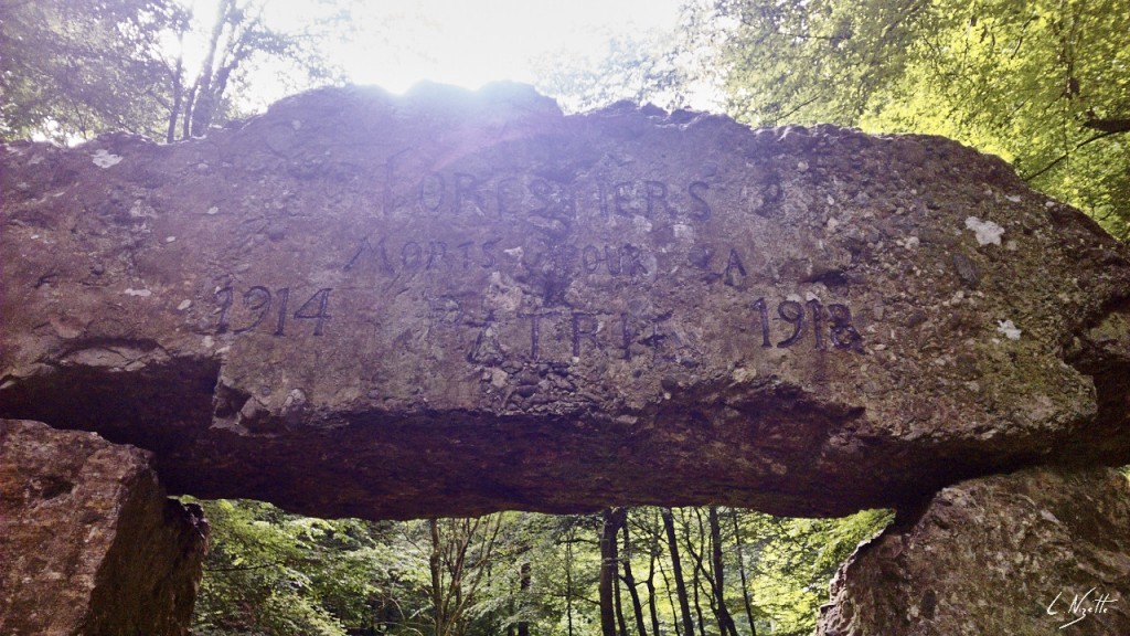 Foret de soignes a la recherche des druides-Lumia 1520-2.4-4 mm 19