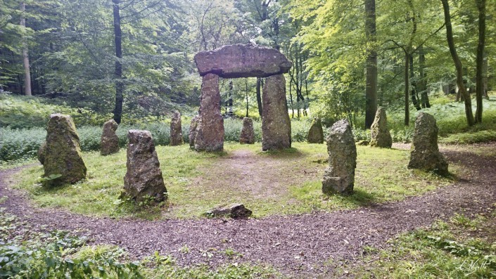 A la recherche des traces druidiques dans la forêt de Soignes