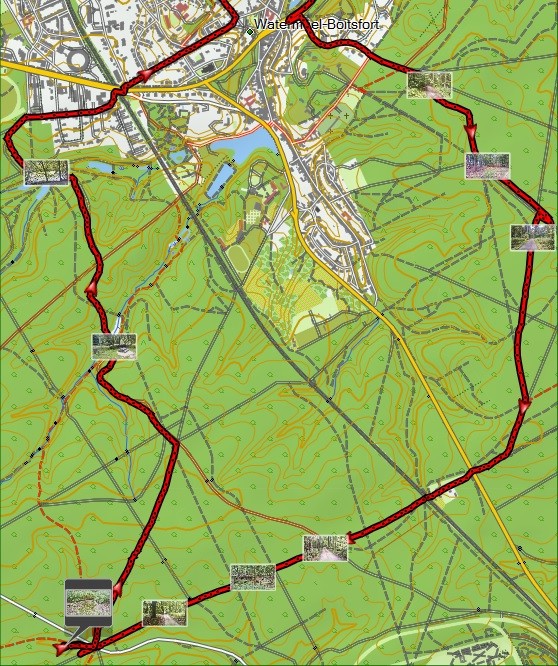 Balade velo sales foret de soignes