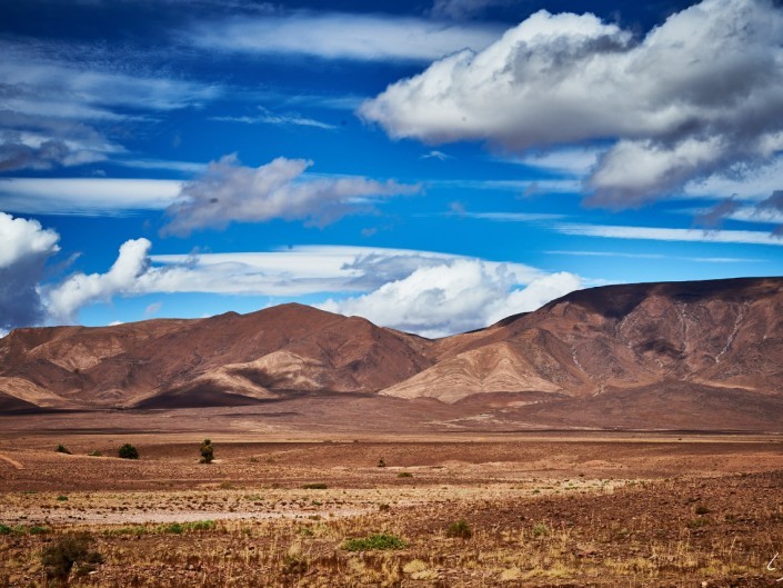 106 Maroc 2015 NIKON D800E A11 75 mm