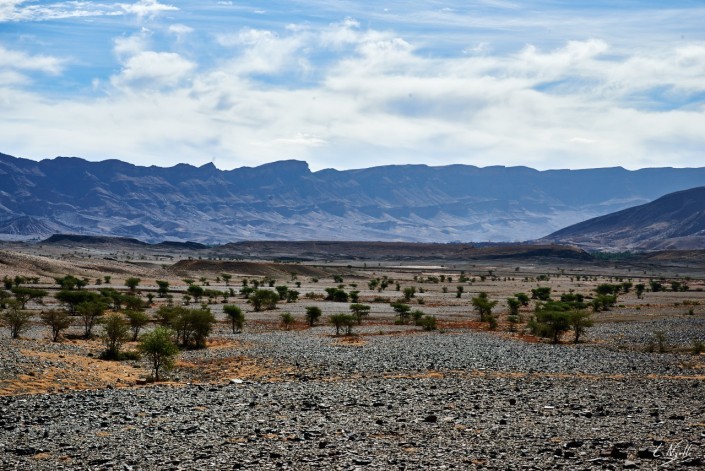 16 Maroc 2015 NIKON D800E A11 65 mm