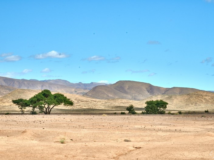 24 Maroc 2015 NIKON D800E A13 120 mm