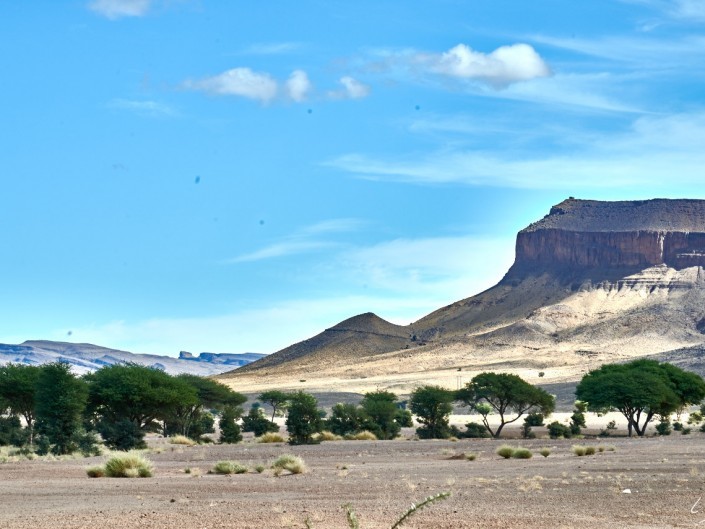 25 Maroc 2015 NIKON D800E A11 120 mm