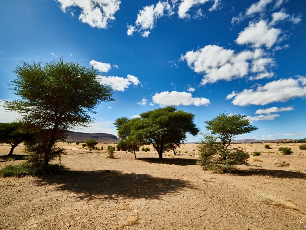 26 Maroc 2015 NIKON D800E A16 14 mm