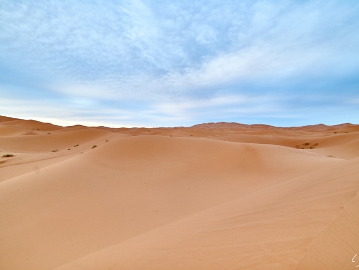 35 Maroc 2015 NIKON D800E A2.8 14 mm