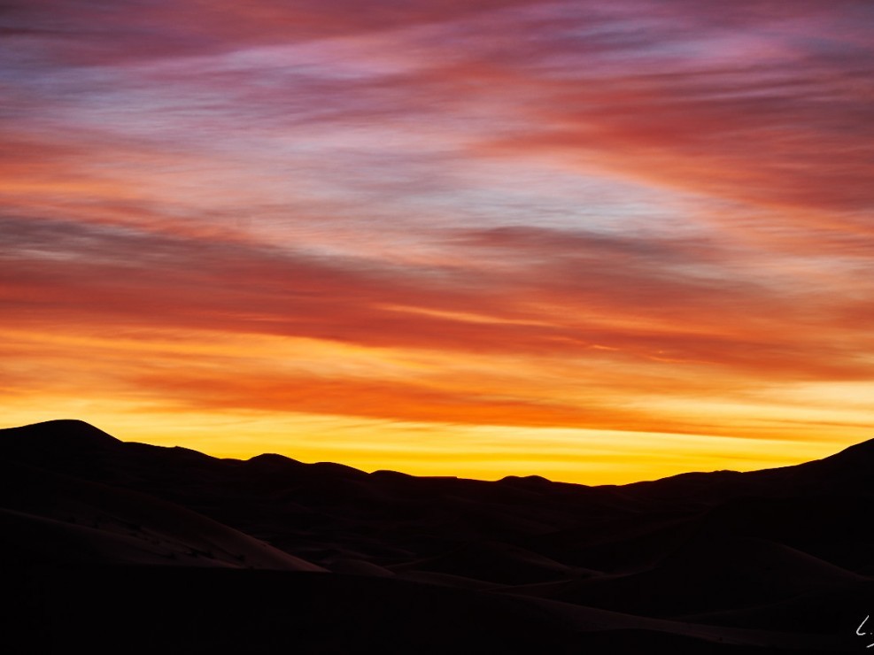 59 Maroc 2015 NIKON D800E A4 120 mm