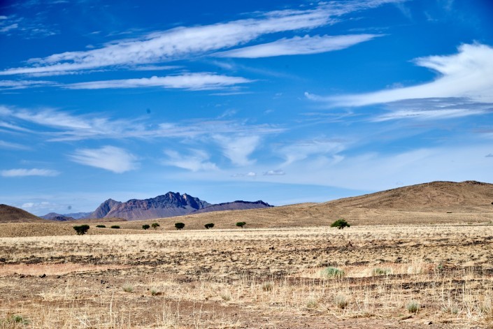 67 Maroc 2015 NIKON D800E A8 85 mm