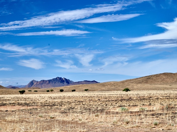 67 Maroc 2015 NIKON D800E A8 85 mm
