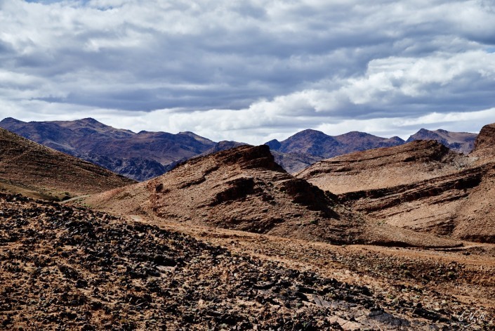 69 Maroc 2015 NIKON D800E A8 92 mm