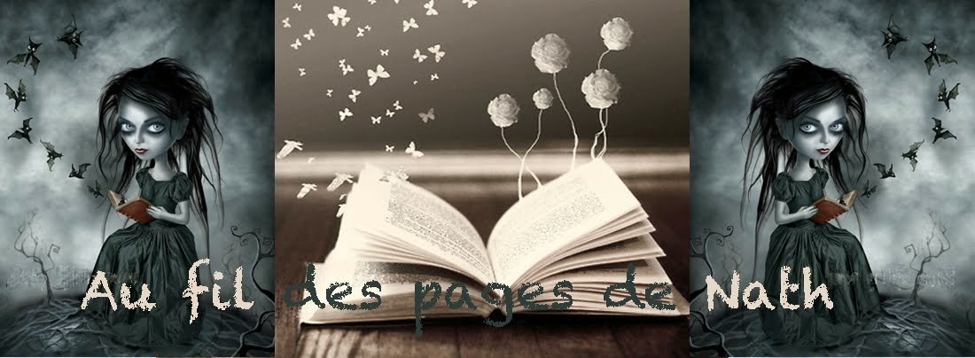 au fil des pages de nath