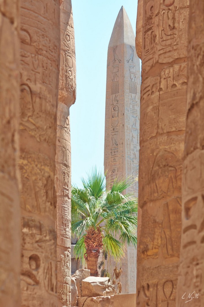 egypte mer rouge-14-NIKON D7100-14-5-