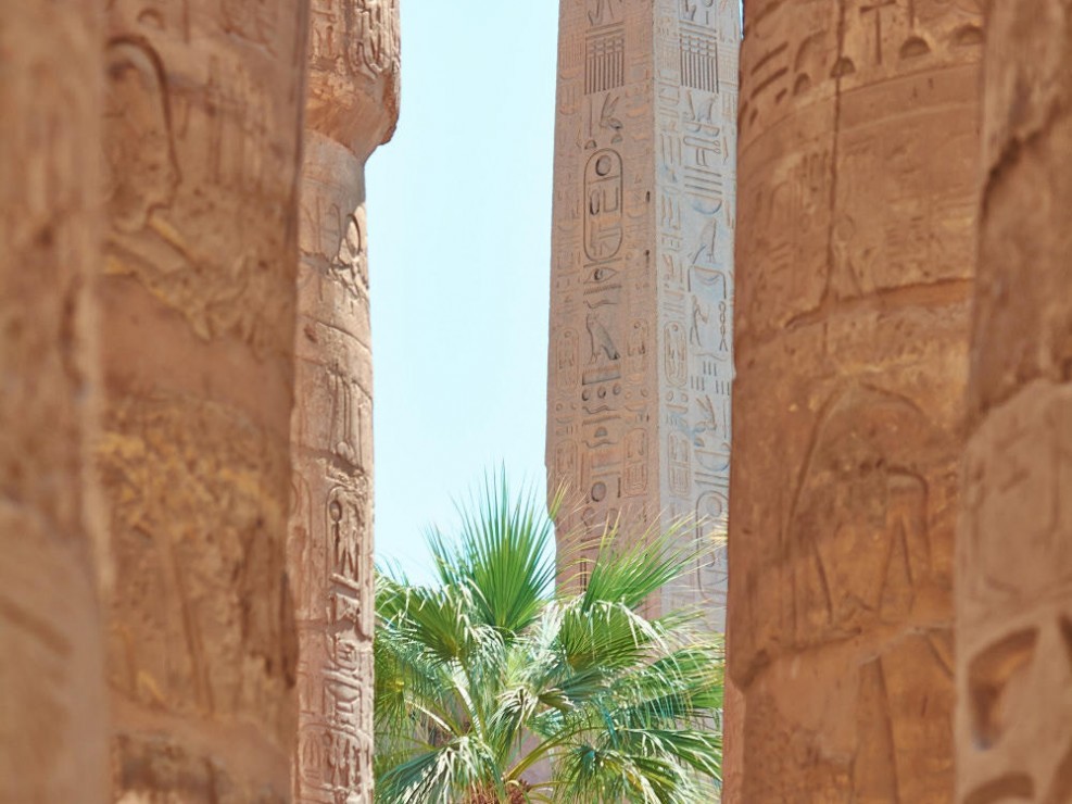 egypte mer rouge-14-NIKON D7100-14-5-