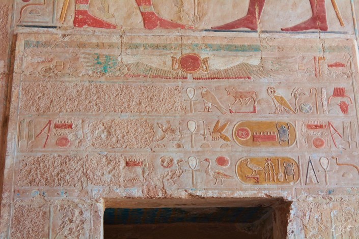 egypte mer rouge-19-NIKON D7100-19-4-