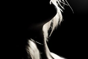 Alison-9-NIKON D7100-9-1.4-