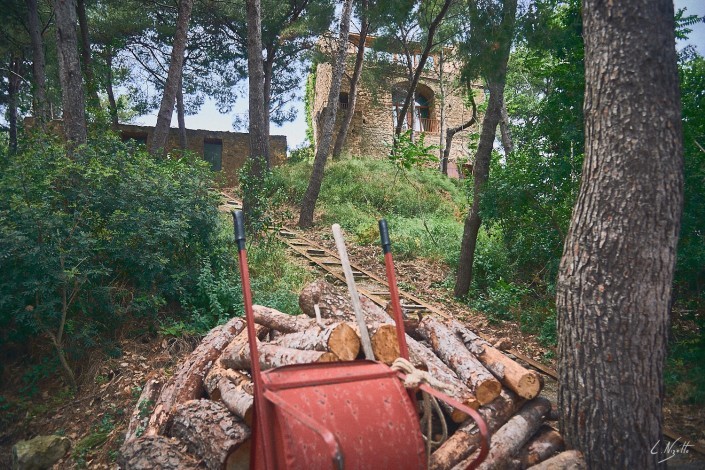 italie-232-NIKON D800E-232-4-