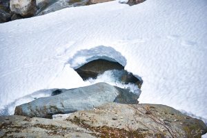 Des traces de pas qui arrivent à ce trou, puis le trou. J'espère qu'il va bien et qu'il n'est pas 100 mètres plus loin sans la glace grâce à ce toboggan invisible.