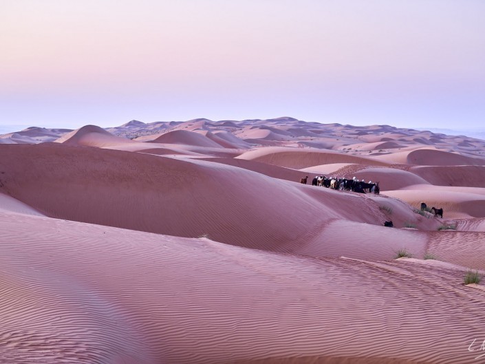 Oman – Dubai-073 -NIKON D800E-2.8-85 mm