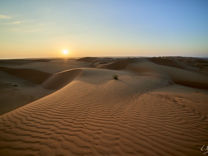 Oman – Dubai-075 -NIKON D800E-4.5-14 mm