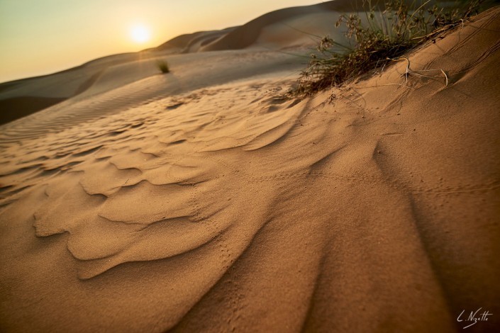 Oman – Dubai-076 -NIKON D800E-4.5-14 mm