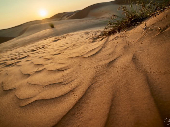 Oman – Dubai-076 -NIKON D800E-4.5-14 mm
