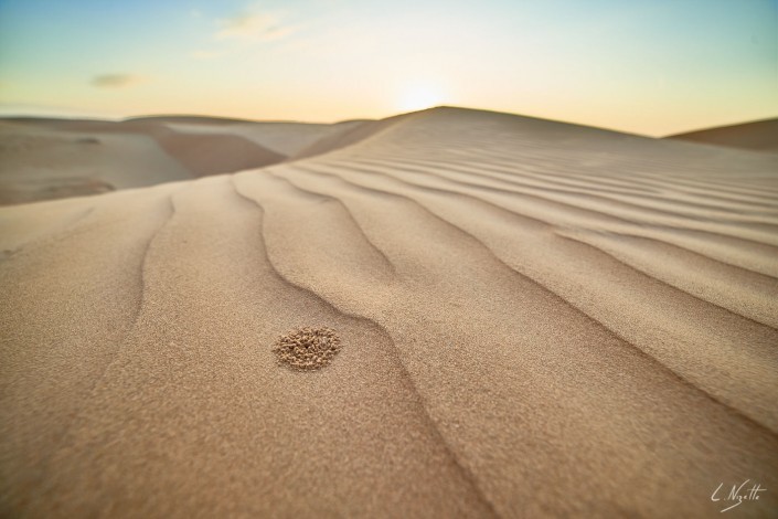 Oman – Dubai-077 -NIKON D800E-4.5-14 mm