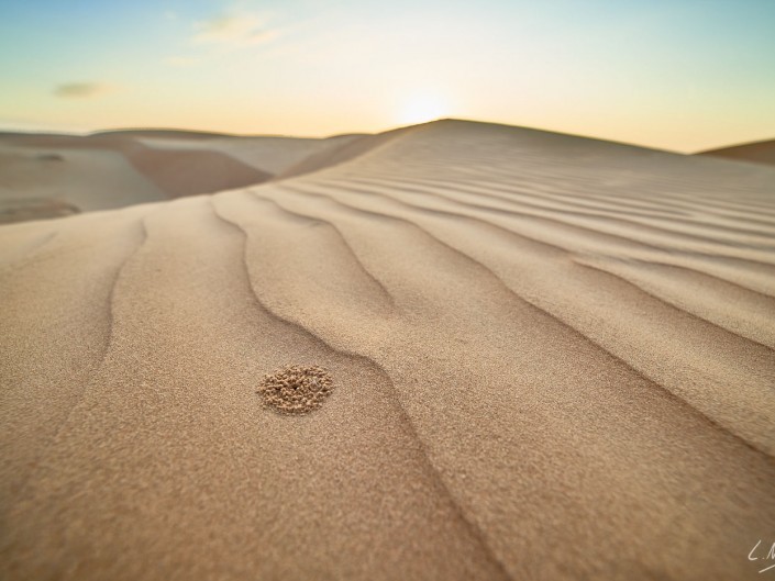Oman – Dubai-077 -NIKON D800E-4.5-14 mm