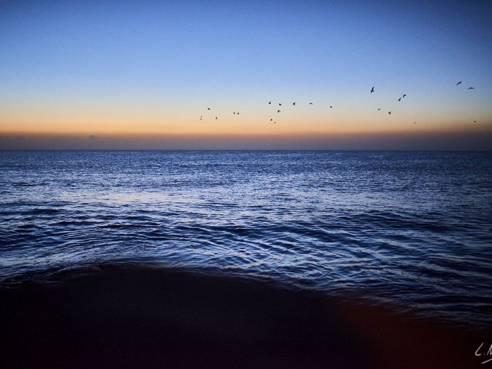 Oman – Dubai-108 -NIKON D800E-1.4-35 mm