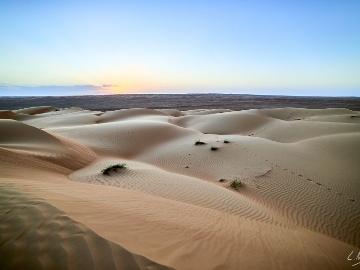 Oman – Dubai-124 -NIKON D800E-4.5-14 mm