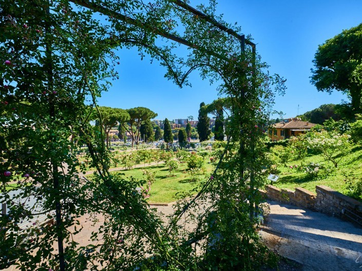 Italie 2017 – 15 mm – Rome 2017 Manu NIKON D800E 15 mm 133261 – mai 08 2017 – NIKON D800E